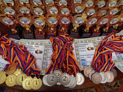 Փարաքար համայնքի «Ապրելու երկիր» խմբակցության ղեկավար Վոլոդյա Գրիգորյանի աջակցությամբ  տեղի է ունեցել բռնցքամարտի մրցաշար